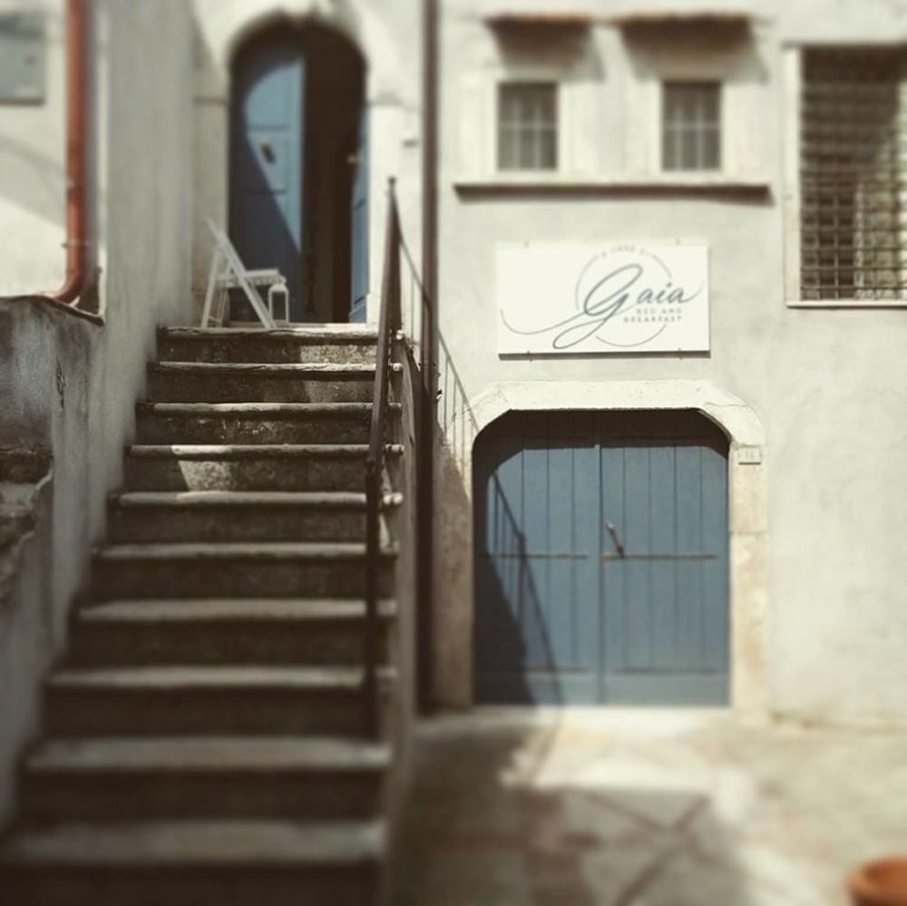 A Casa Di Gaia Bed And Breakfast Vico Del Gargano Ngoại thất bức ảnh